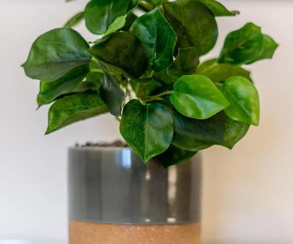 Brand New Apartment-2 Min From The Sea-central Bugibba Апартаменты