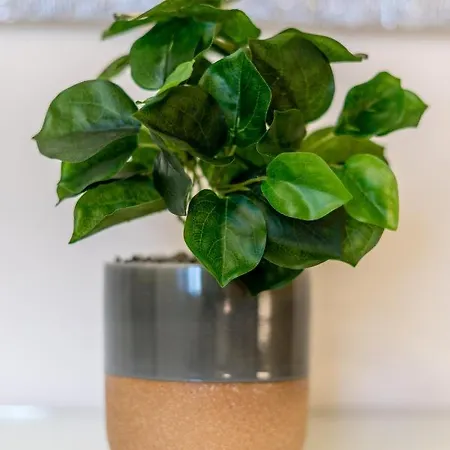 Brand New Apartment-2 Min From The Sea-central Bugibba Apartman